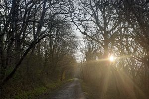 Avis d'obsèques à Pibrac