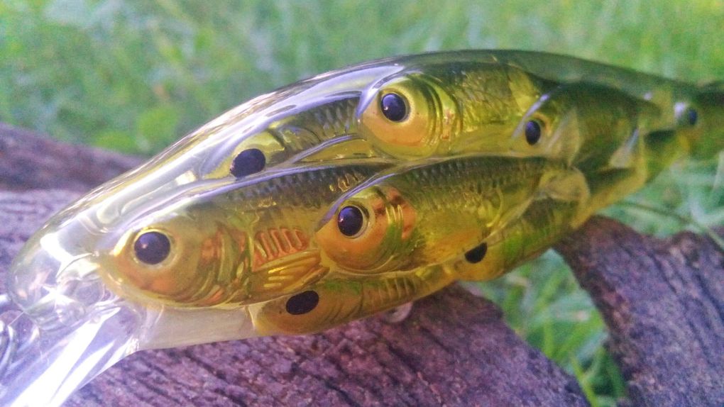 Le yearling jerkbait avec ses multiples facettes de poissons, peut être une arme redoutable!!!