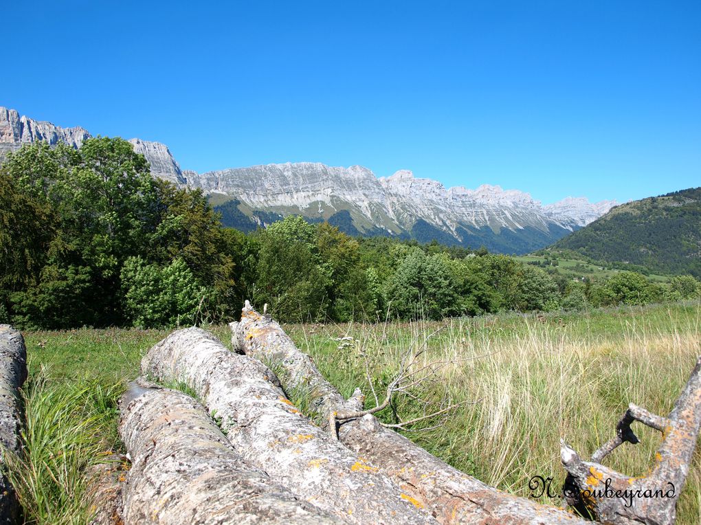 Album - Paysages-du-Dauphine