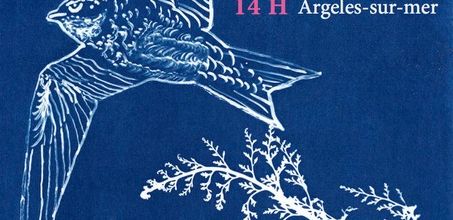 Marche pour la nature et la biodiversité 22 février à Argelès sur Mer