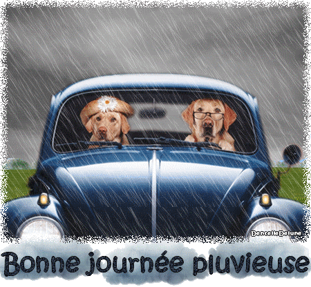 Bonne journée pluvieuse - avec couple de chiens en voiture