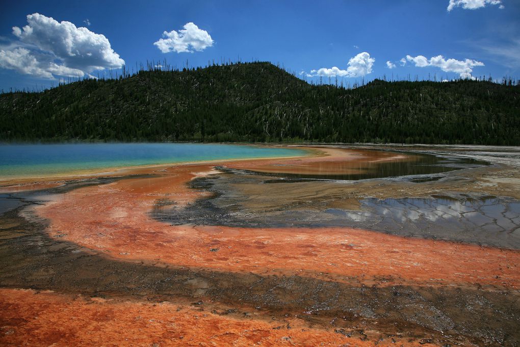 Le parc national du Yellowstone abrite la majorité des geysers actifs de la planète. Trois conditions sont nécessaires à leur bon fonctionnement : chaleur, fournie par le point chaud sous-jacent; eau, provenant des précipitations; et un système