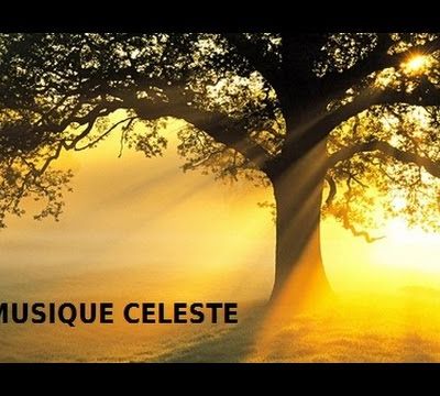Bonsoir mes frères et mes soeurs que cette musique et ces prières vous aideront à dormir