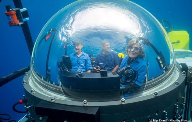 #STARTUP #DEEPTECH #OCEAN #MENTORAT #FRANCESTARTUPOCEANS : LE PROJET #48 MISSIONBLUE