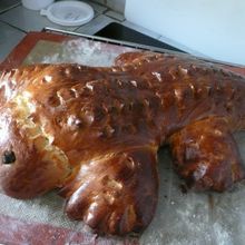 Brioche crocodile