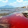 Castellammare di Stabia(Napoli) il mare diventa rosso sangue