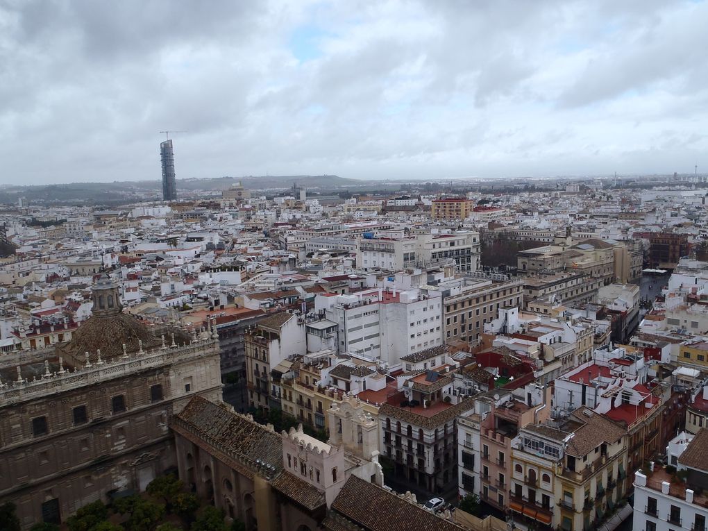 seville,4 jours pass'e là bas.Surment une ds plu beles viles que j'ai visité,où que l'on pose les yeux on en prend plein la vue.Le climat etait meilleur,ben qu'humide, ce qui m'aura permis de profiter de la ville au maximum.