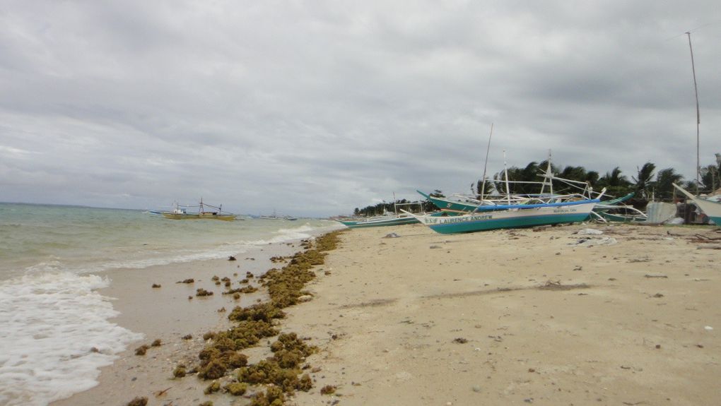 cebu bantayan avril 2011