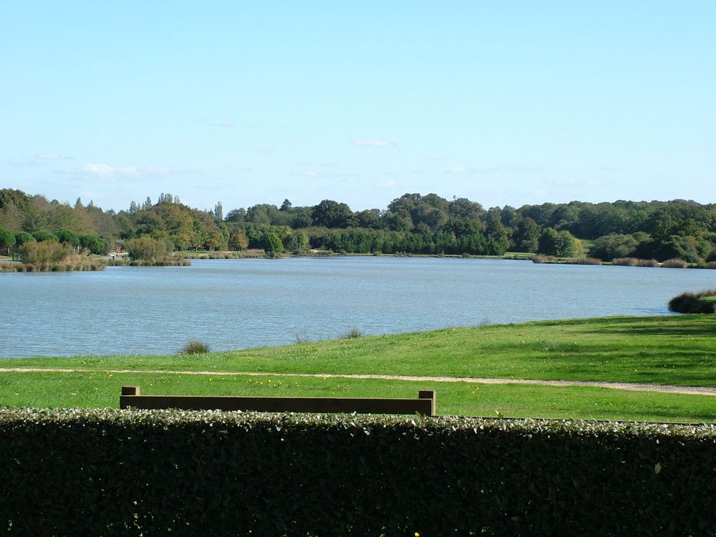 Album - Fondations-et-terrassement