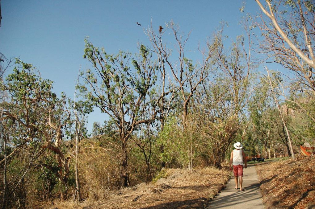 D'Alice Springs à Darwin