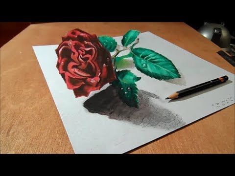 Dessin et peinture - Vidéo 1222 : Dessiner une rose en 3D - anamorphisme.