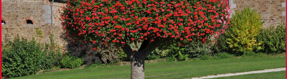 arbre fleuri en bèton  armè