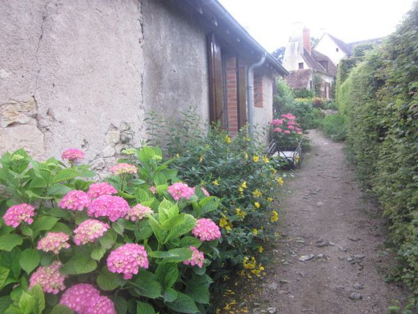 Les fleurs dans le village