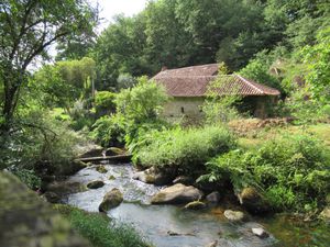 Balade en Dronne sauvage