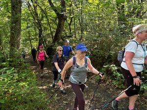 Des chemins ombragés dans les bois