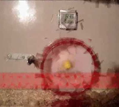 videogag: bébé équilibriste+ turbo hamster+ le chat malin + compilation chutes