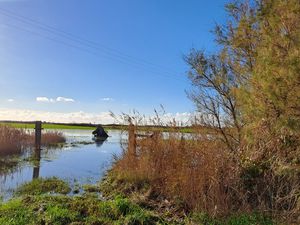 Promenade d'automne dans le marais blanc en Vendée