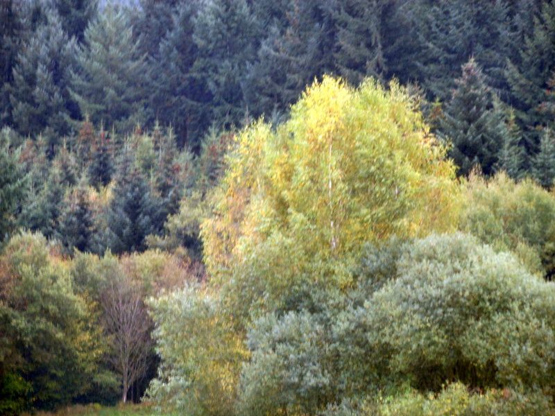 LUMIERES ET COULEURS DU MORVAN....automne 2013