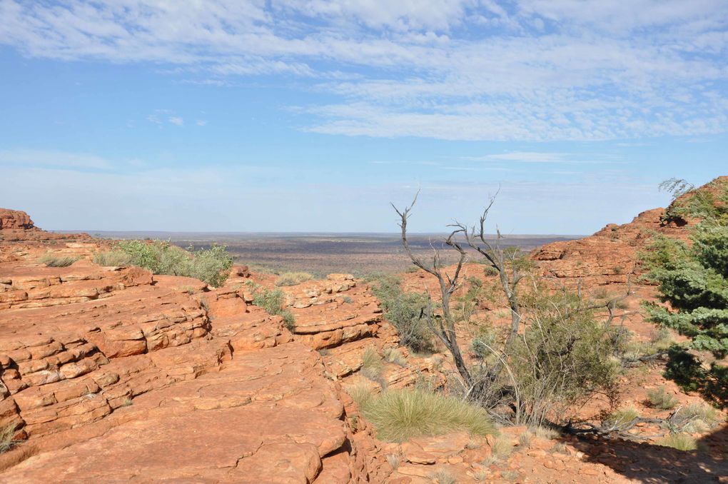 Album - Route vers Kings Canyon et Kings Canyon