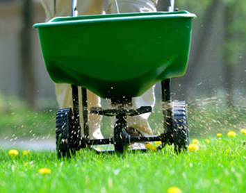 Learn The Correct Pruning Techniques For Lawn Edging And Mowing