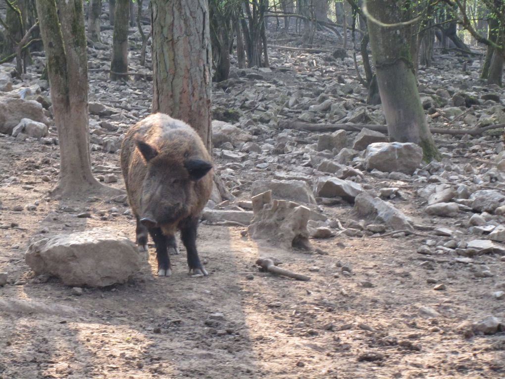 Visite des grottes et balade dans le parc et le village