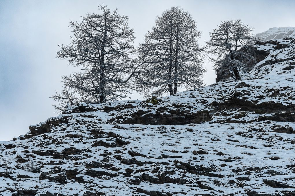 Paysages et camarades de randonnée