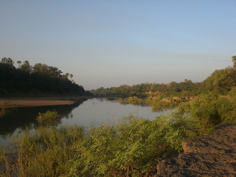 Album - Parc-du-Niokolo-Koba