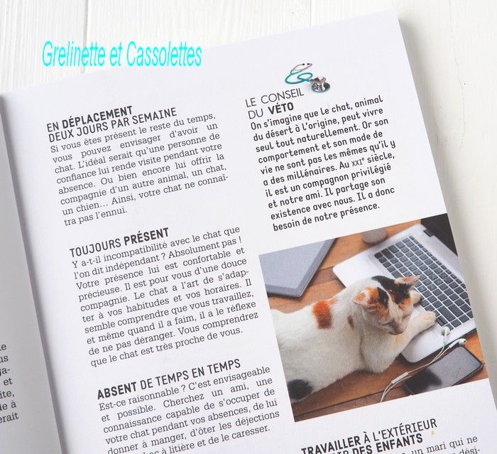 La Vie Secrete Des Chats Le Guide Pratique Du Chat Heureux Grelinette Et Cassolettes