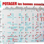 Associations de plantes du potager