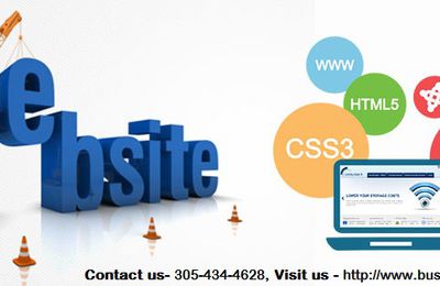 Looking For Web Design Services In Miami?