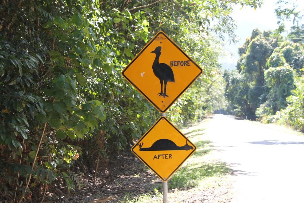 Album - Alice Springs-Cairns