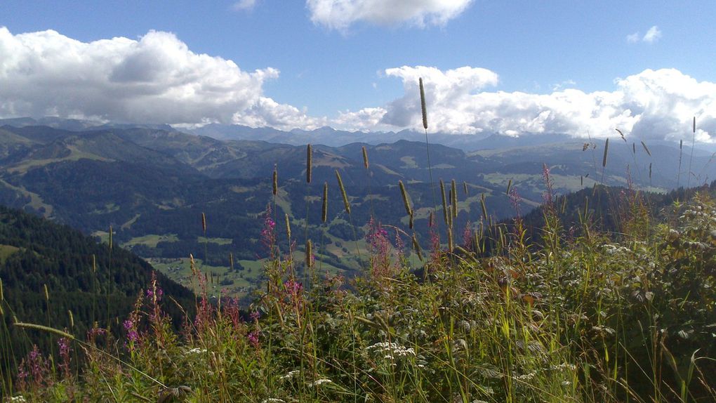 La Tête du Torraz - Praz-sur-Arly ( Haute-Savoie) 