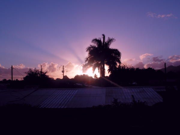 <strong>Photo prise sur les &icirc;les de Moorea, Tahiti et en bretagne</strong>