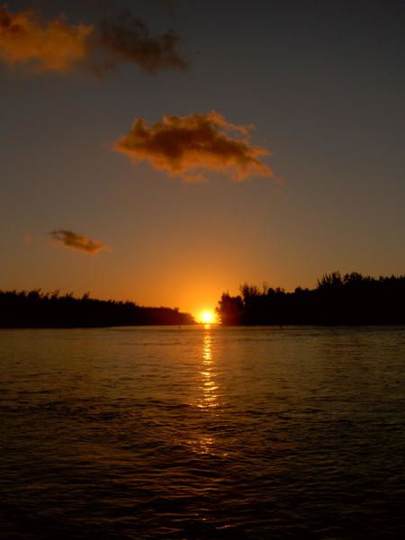 <strong>Photo prise sur les &icirc;les de Moorea, Tahiti et en bretagne</strong>