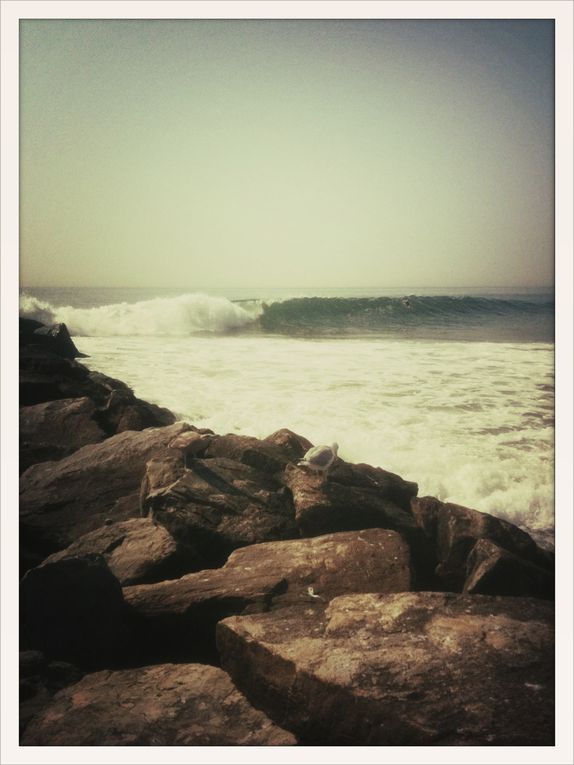 End of August 2010, thanks to hurricane Earl, Rockaway NYC Beach looks like indonesian breaks