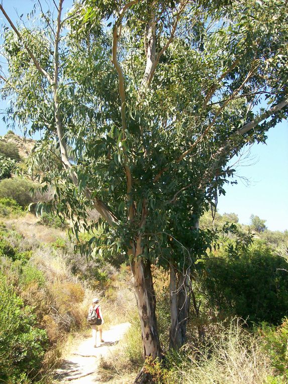 Voyage en corse en juillet 2009