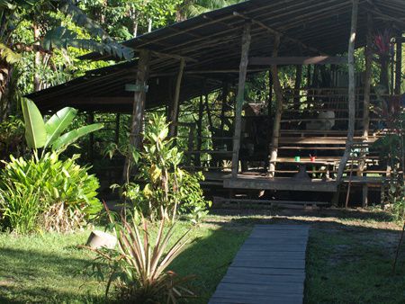 Album - Les EEDF en Guyane : Selection Risquetout-Maison de la Nature