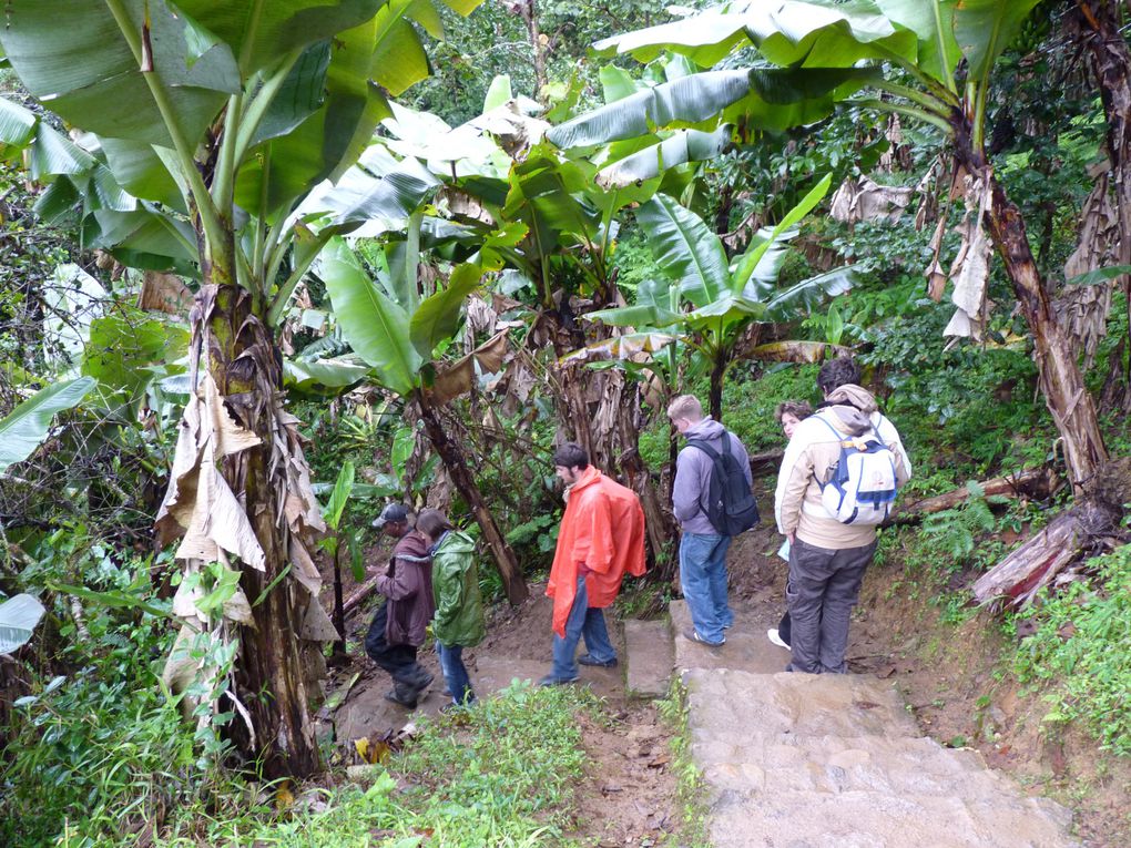 Ranomafana, Anja, Isalo : les 3 parcs que nous avons découverts le long de la RN7.