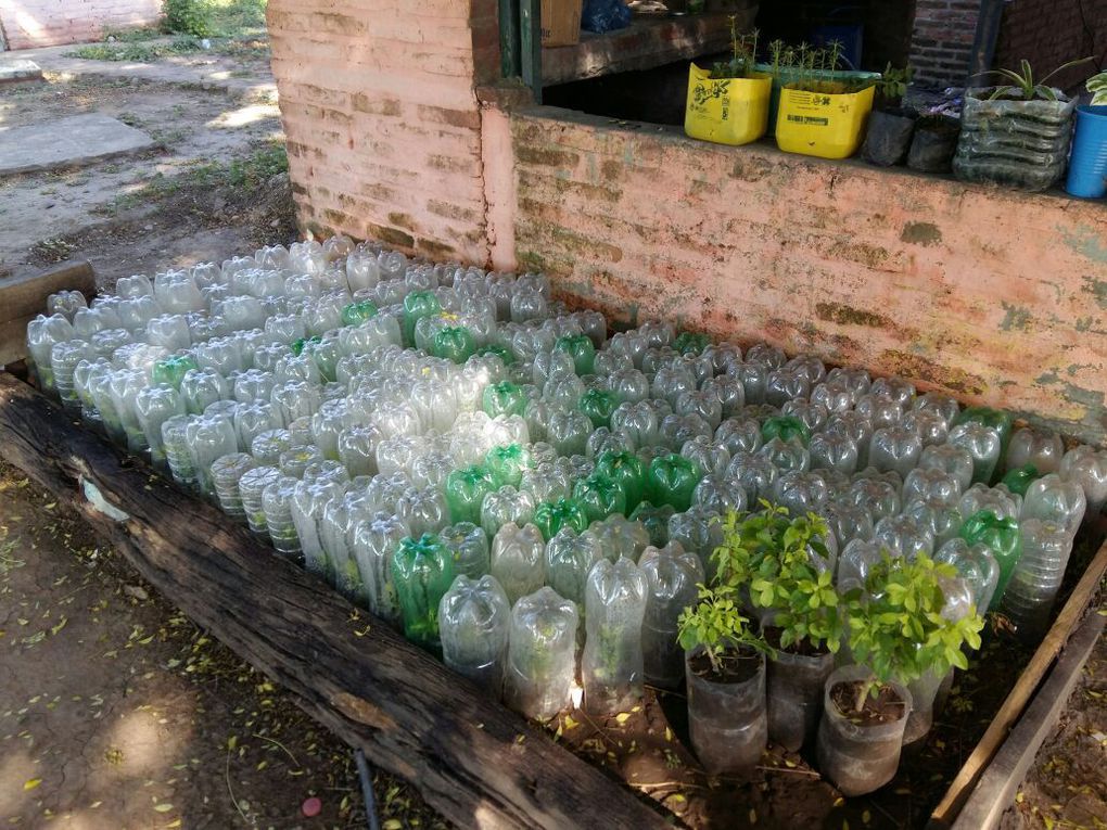 Reunión de promotores voluntarios del pro-huerta