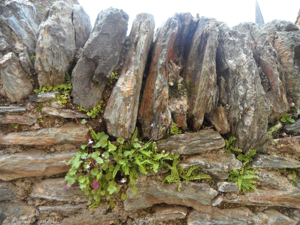 Un aperçu de l'Aveyron et des Gorges du Tarn - 12 et 81 - jour 3