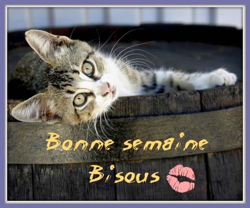 Gifs Semaine Week End Vacances Balades Comtoises
