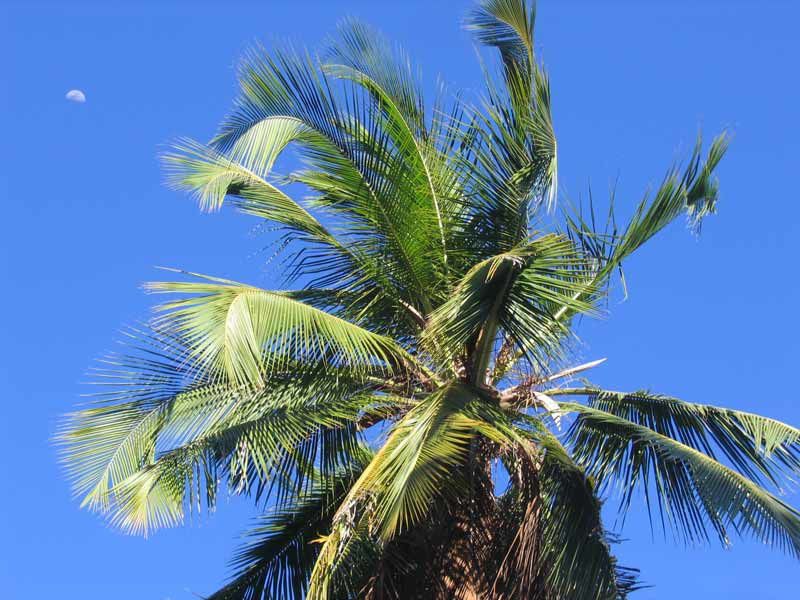 1ère rencontre avec Mayotte