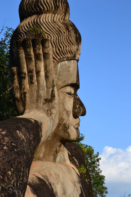 Nature, tranquillité, chaleur humaine : magnifique Laos ;)