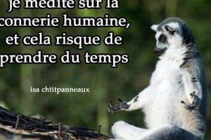 Socialistes, écolos,LR et Macroniens votent contre l'indemnisation par Big Pharma, des victimes d'injections ARNm covid! C'est inommable, je ne trouve pas de mots assez forts pour exprimer ma colère, tous des vendus et assassins ceux là...