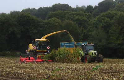 Ensilage 2019, New Holland FR 9080