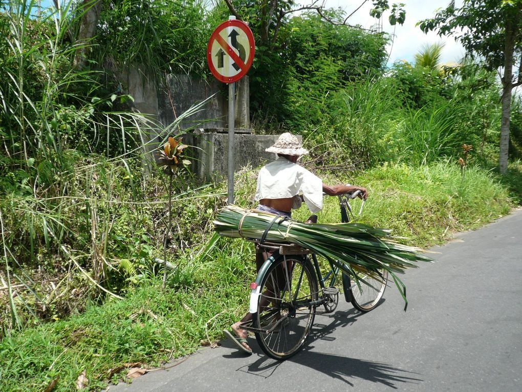 Album - Bali-2