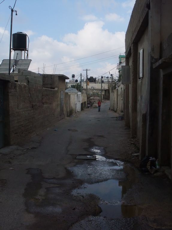 Les deux camps de réfugiés proches de Ramallah où je donne des cours de Français et leurs alentours (Jifna, pres de Jalazon) / The two refugee camps near Ramallah where I give French classes and around (Jifna close to Jalazon)