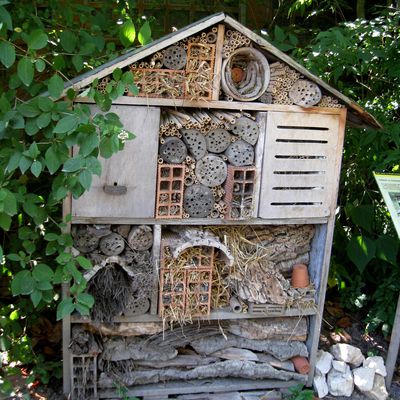 Hôtel à insectes, parc de la Tête d'Or