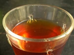 Potion du bush au rooibos et au buchu