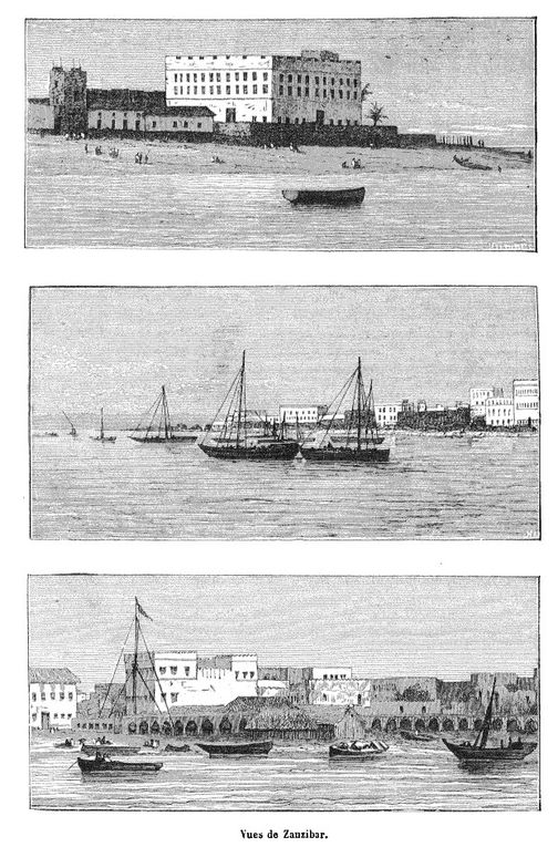 Dessins extraits de la revue Nature 1873